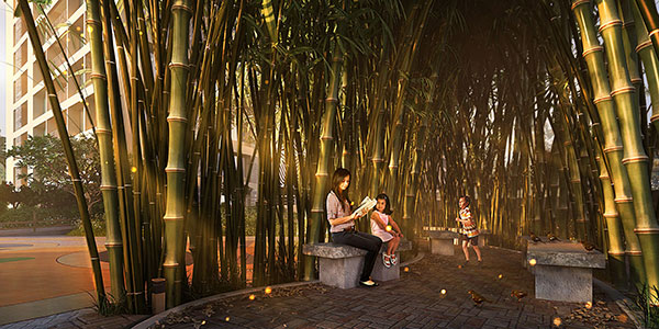 uttalika-bamboo-forest 